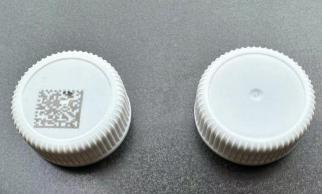 Lightcap24
